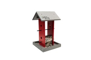 Songbird Feeder