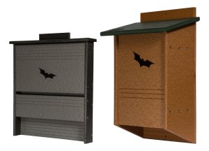 Bats