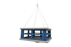 Bluebird Feeder #3