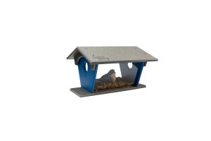 Bluebird Feeder 1